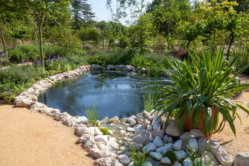 Création de jardin et de bassin à Guingamp