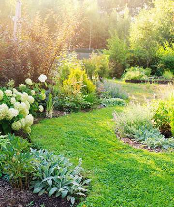 Création et entretien de jardins